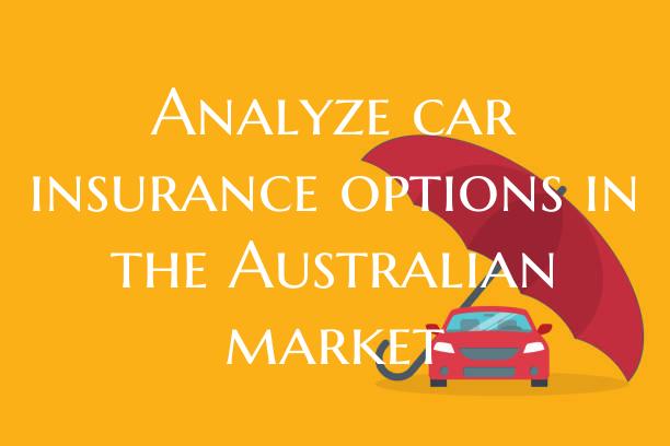 Analyze car insurance option...